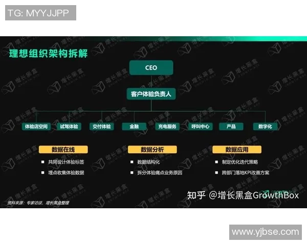 北京乒乓球队战术分析：深入解读盯防策略与实战应用