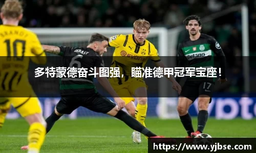 333体育官网
