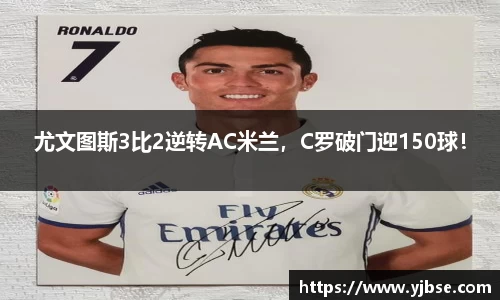 333体育平台