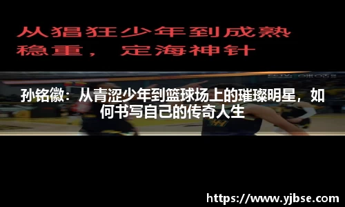 333体育官网